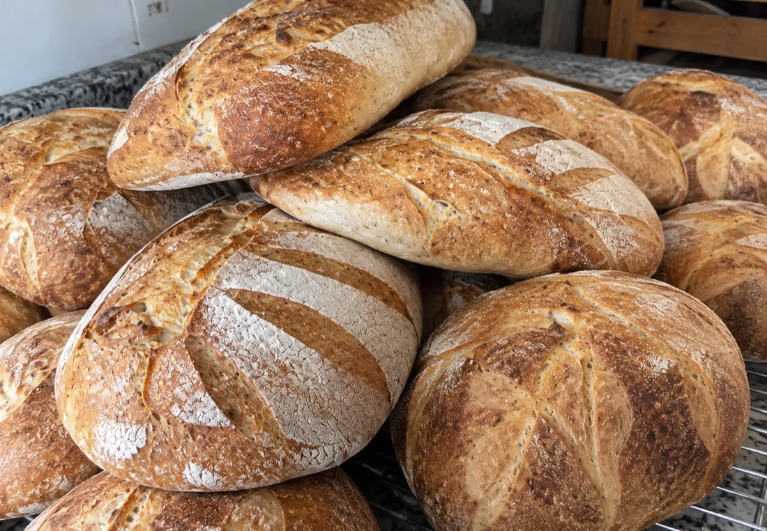 Filoni e pagnotte di pane appena sfornati, con la crosta dorata e i tagli aperti, su una griglia di raffreddamento